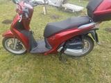 Honda SH150i Roller zuverlässig, sparsam, top  - HONDA SH 150I
