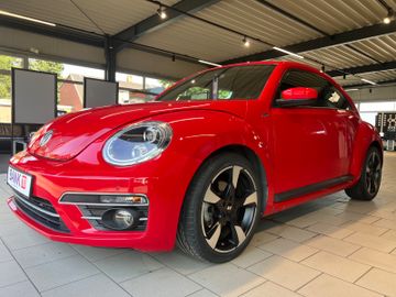 Volkswagen Beetle - 4