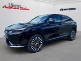 Honda e:Ny1 Advance-Paket - Honda e:Ny1: Advance Paket