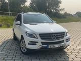 Mercedes-Benz ML 250 BlueTEC 4MATIC - - Mercedes-Benz ML 250 aus 2015