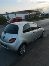 Ford Ka/Ka+ 1,3 51kW Royal Royal mit Vollleder  - Ford Ka/Ka+ aus 2006