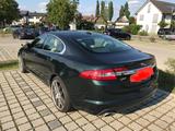 Jaguar XF 3.0 V6 155kW Diesel Luxury Luxury - Jaguar XF Luxury mit Diesel-Antrieb