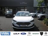 Ford Focus 1.0 MHEV Titanium Design DAB PDC Touch - Ford Tageszulassungen