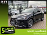 Lexus NX 350h Executive Line ACC+LED+2xKlima+LM - Lexus aus 2024: Nx