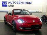 Volkswagen Beetle Cabriolet Sport DSG SHZ Leder NAV - VW Beetle Gebrauchtwagen in Berlin