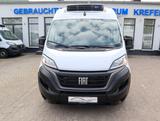 Fiat Ducato 35 L2 Kühlwagen Carrier Xario 350-05 -20° - Fiat Ducato 3 0