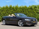 Audi A5 Cabriolet 2.0 TDI-Navi-Leder-Xenon-Sportsitze - Audi A5: Braun, Leder