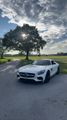 Mercedes-Benz AMG GT S 4.0 V8 S DCT S 130th Anniversary Editio