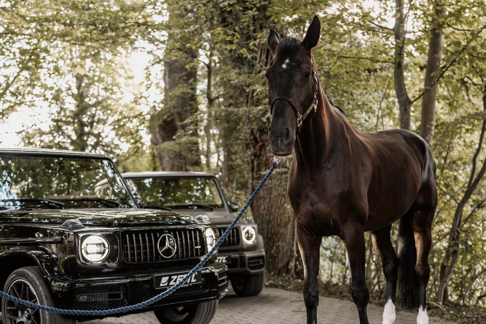Mercedes-Benz G 63 AMG Mercedes-AMG G 63 Zettl Edition 1 of 1