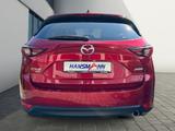 Mazda CX-5 Sports-Line Sport-Plus-Paket TEC-P AHK 184  - Mazda CX-5 in Kassel