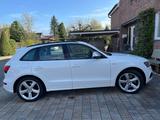 Audi SQ5 3.0 TDI competition tiptronic quattro - - gebrauchte Audi SQ5 aus dem Jahr 2017