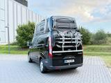 Ford Transit Custom Nugget Westfalia · Wohnmobil - Ford Transit: Wohnmobil