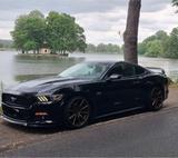 Ford Mustang GT - Ford Mustang Gebrauchtwagen in Dresden