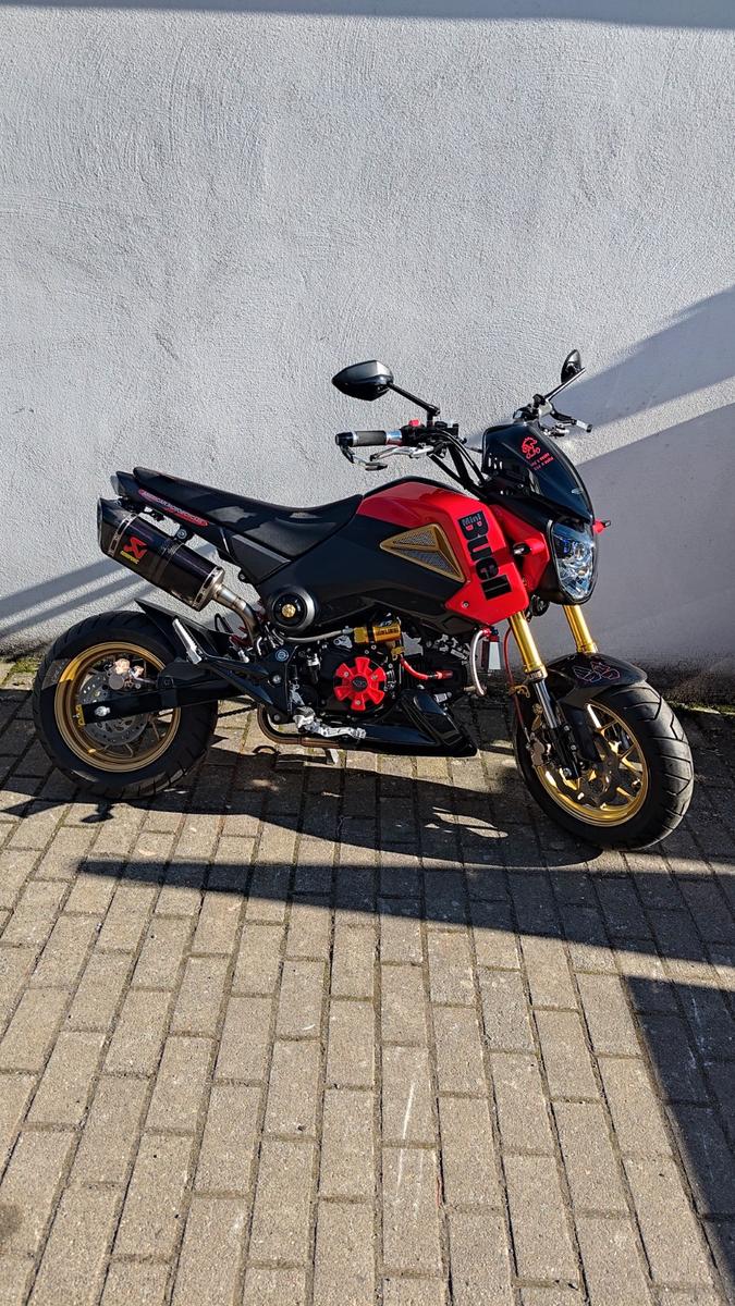 Honda MSX 125 Unikat