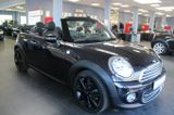 MINI Cooper Cabrio Leder - Xenon - Navi - PDC - - MINI: Braun