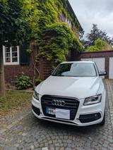 Audi SQ5 3.0 TDI plus tiptronic quattro - - Audi SQ5: Plus
