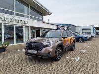 Subaru Forester - Vorschau Bild 1
