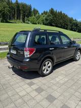 Subaru Forester 2.0D Exclusive Exclusive - Subaru Forester: 2.0