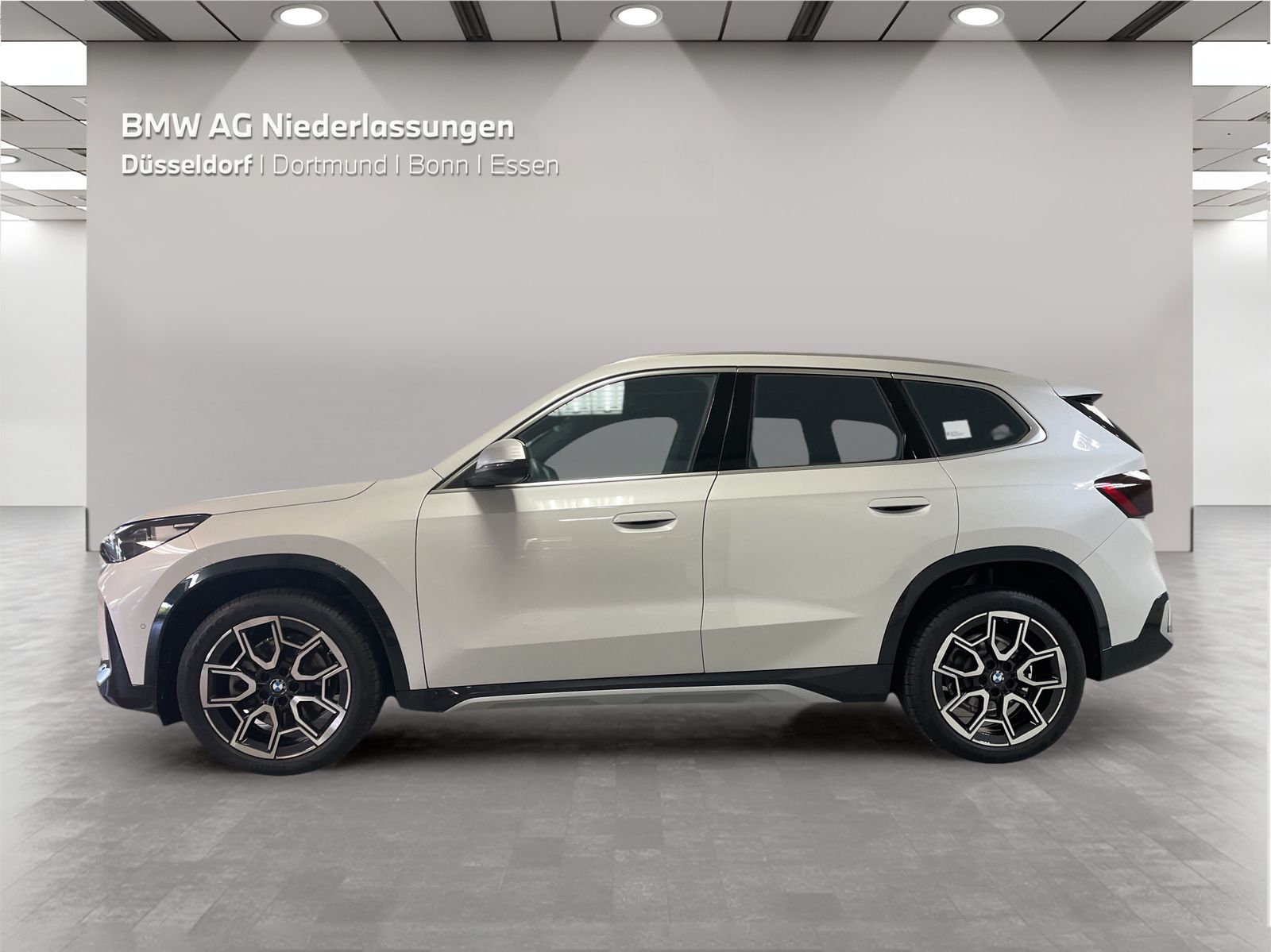 BMW X1 sDrive20i Driv.Assist Harman K Head-Up LED foto 3