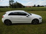 Mercedes-Benz A 220 d DCT - Burmester Parktronic 360° - Mercedes-Benz A 220 in München