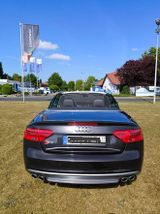 Audi S5 3.0 TFSI S tronic quattro Cabriolet - - Audi S5: 3.0