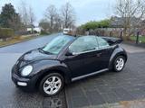 Volkswagen VW Beetle 1,9 TDI Cabrio, TÜV Neu 11/27 - Volkswagen Beetle aus 2005: Cabrio