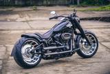 Harley-Davidson FatBoy / Black Bull
