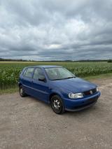 Volkswagen VW Polo 6N 1.0 Joker vieles Neu... - Volkswagen Polo: Joker