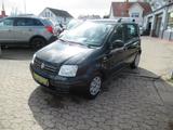Fiat New Panda 1.2 8V Active KLIMA TÜV 08/27 KM102000 - Fiat New Panda mit Benzin-Antrieb: Limousine, Schaltgetriebe