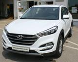 Hyundai Tucson blue 1.6 GDi 2WD Trend Sitzheizung Kamera - Autos mit Tageszulassung