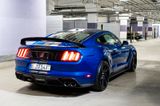Ford Shelby GT350R - Ford Mustang: Gt350 Shelby