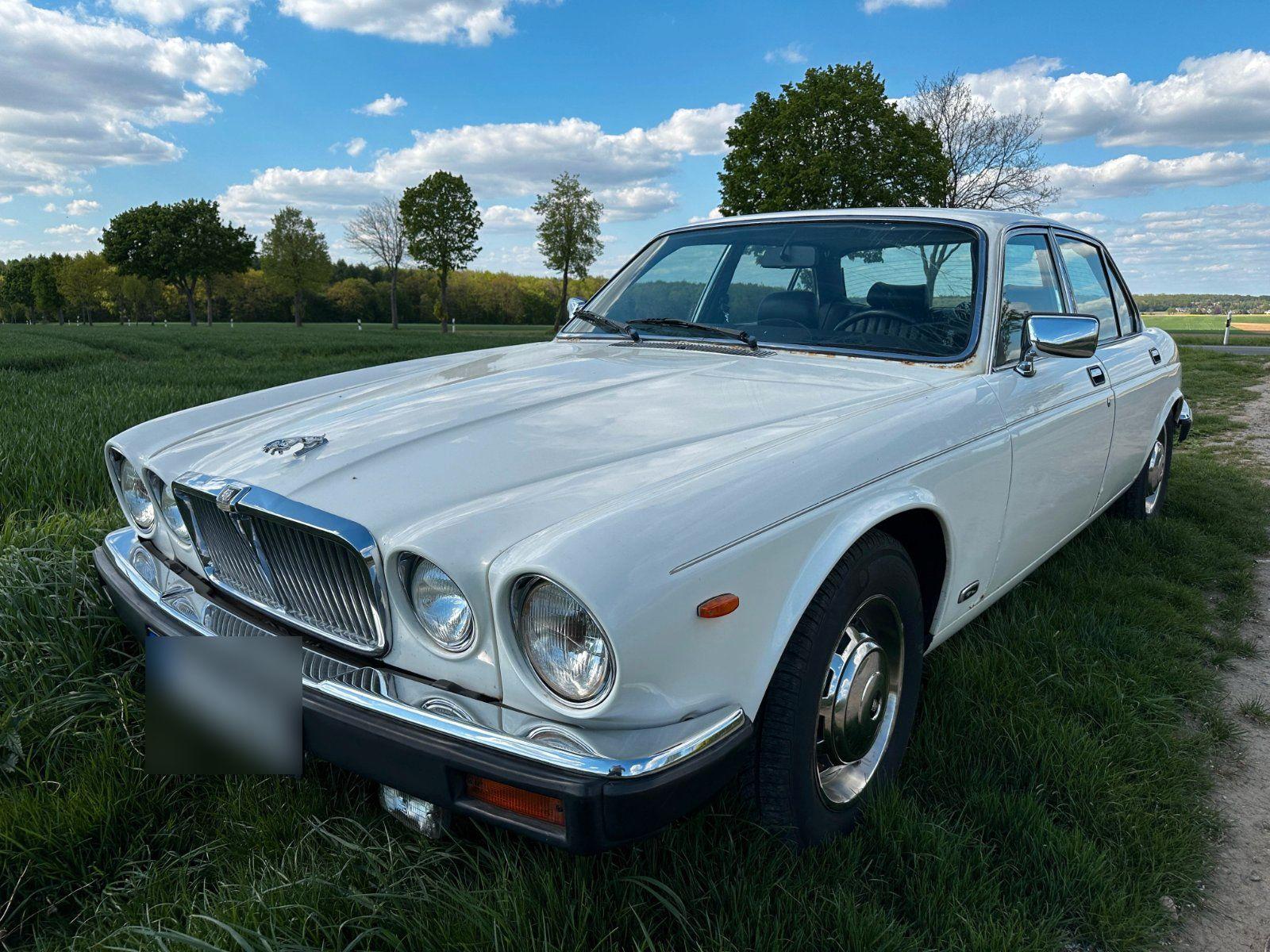 Jaguar XJ6