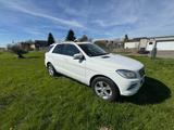Mercedes-Benz ML 250 BlueTEC 4MATIC - - Mercedes-Benz ML 250 aus 2013