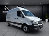 Mercedes-Benz Sprinter 316 CDI*CARRIER-XARIOS 300*-20GRAD* - Mercedes-Benz 300cd