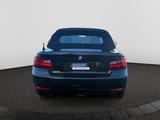 BMW 220 i Advantage Cabrio 8-FACH Navi Leder Soundsy - BMW F22 - BMW 2er Reihe