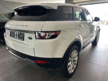 Land-Rover Range Rover Evoque - 5