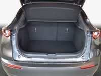 Mazda CX-30 - Vorschau Bild 8