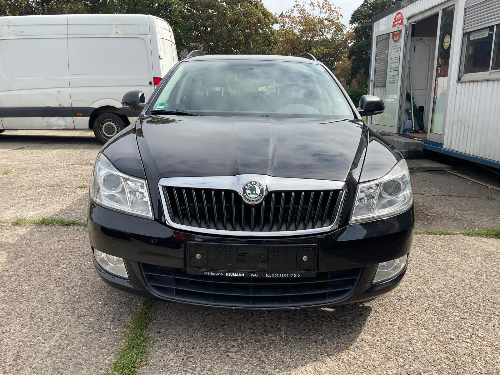 Skoda Octavia 2010 — rear view
