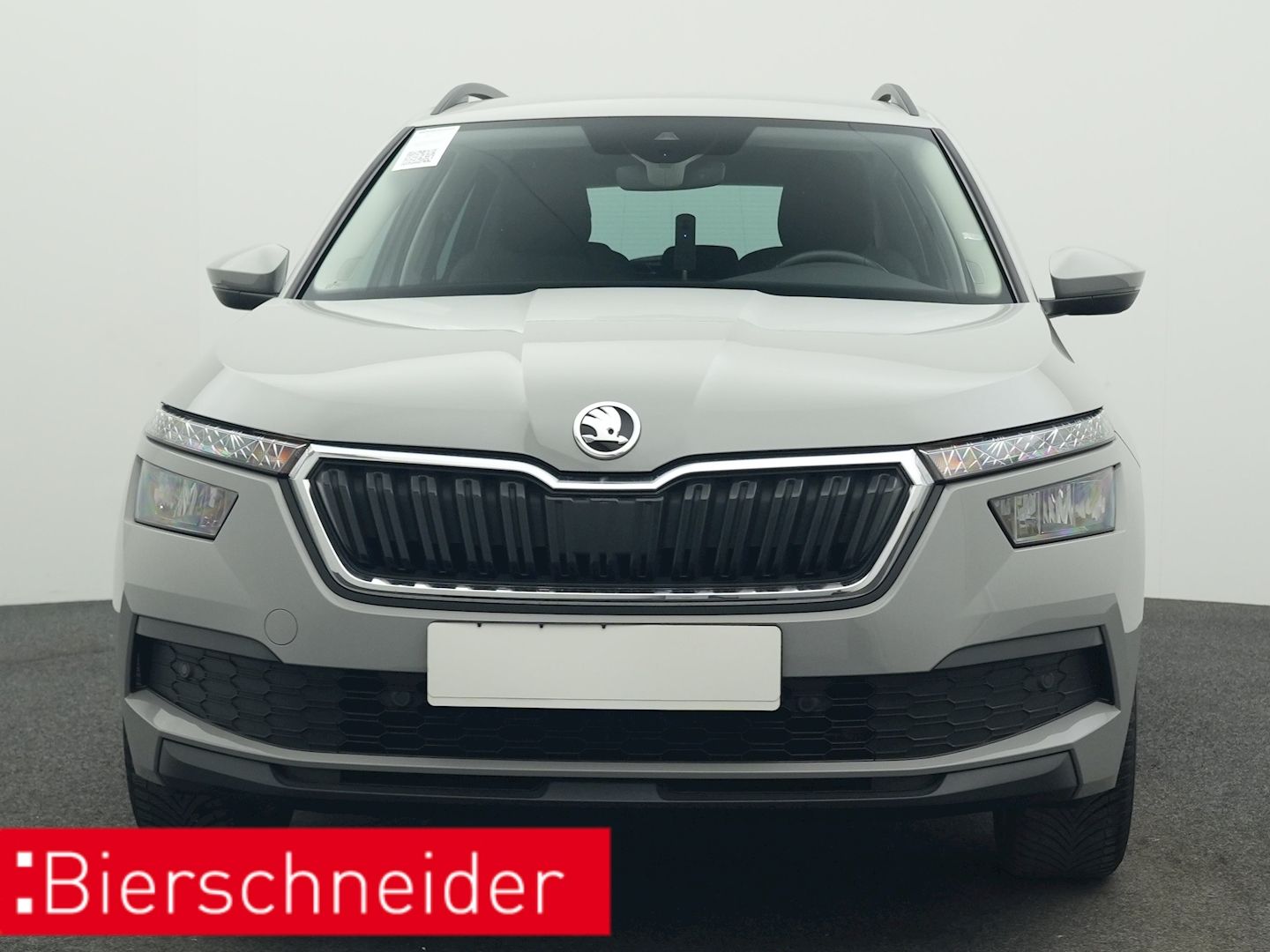 Skoda Kamiq - Bild 10