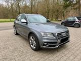 Audi SQ5 Automatik Kamera V6 - Audi SQ5 in Frankfurt (Main)