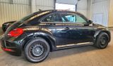 Volkswagen New Beetle - Volkswagen New Beetle mit Benzin-Antrieb: Limousine