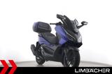 Honda FORZA 125 - TAGESZULASSUNG - HONDA FORZA 125