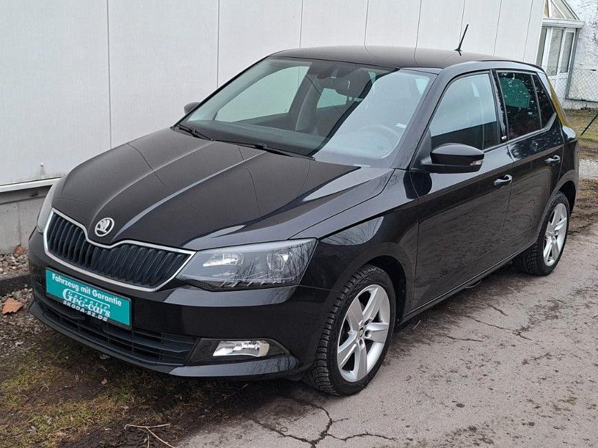 Skoda Fabia Joy PDC SITZHEIZ 1.HAND