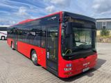 MAN A 20 / Lions City Ü Euro 5 / EEV - MAN Lions