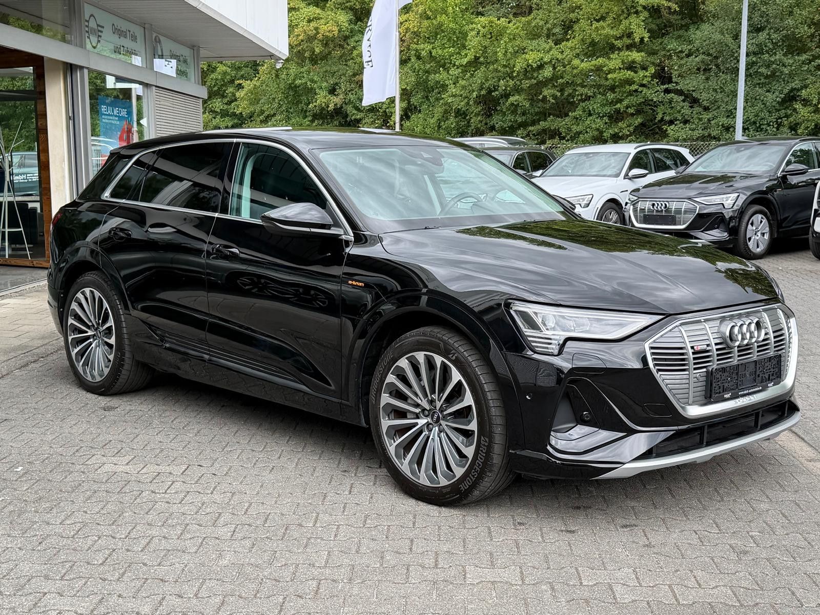 Fahrzeugabbildung Audi e-tron 55 QUATT S LINE LUFT+LED+SHZ+KAM+B&O+21"