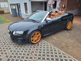 Audi RS4 Cabriolet Audi exclusive Vmax 280 - Audi RS4 mit Benzin-Antrieb: Cabrio