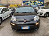 Fiat Panda 1.0 FireFly S&S Hybrid Sport - Fiat Panda Sport mit Hybrid-Antrieb (Benzin/Elektro)
