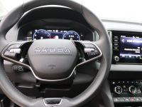 Skoda Karoq - Vorschau Bild 14