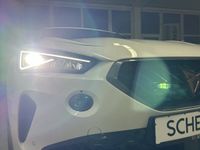Cupra 