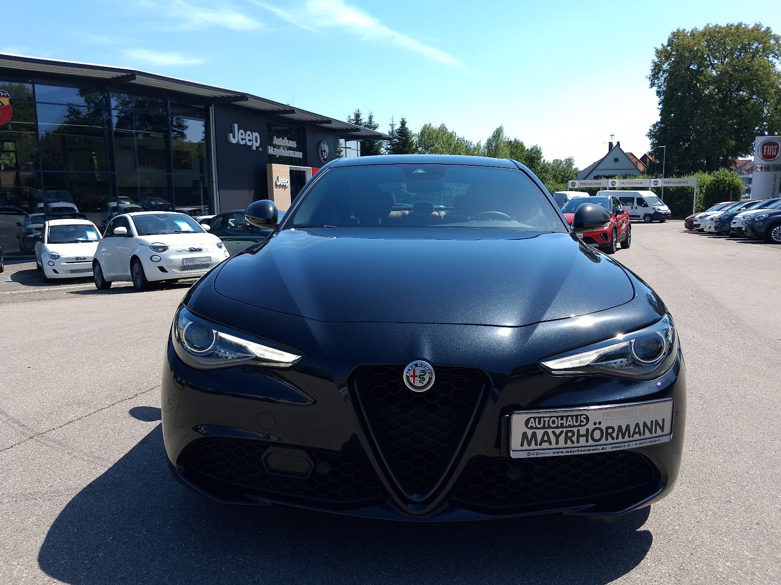 Fahrzeugabbildung Alfa Romeo Giulia B-Tech